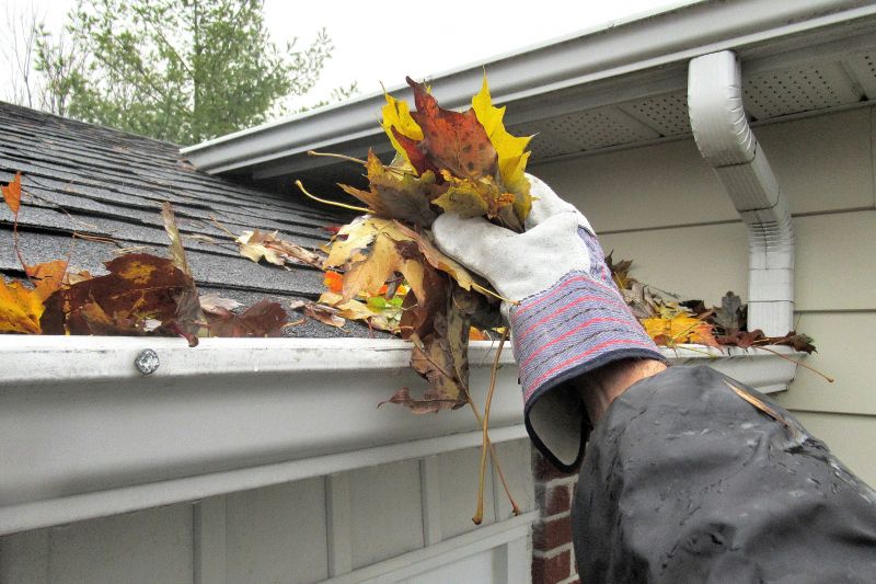 Autumn Roof Replacement